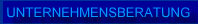UNTERNEHMENSBERATUNG
